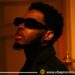 Où est passé Wendyyy ? Neuf mois après son album « 3 », le silence du King intrigue ses fans
